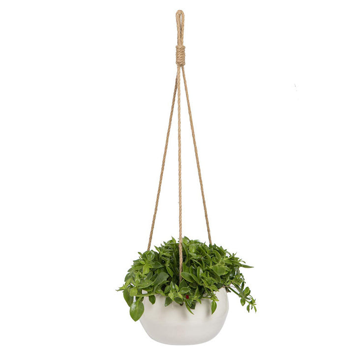 Spot Nylon Rope Hemp Rope Wall Hanging Ceramic Flowerpot Indoor Living Room Green Plants Succulent Potted Decoration AT home decorations