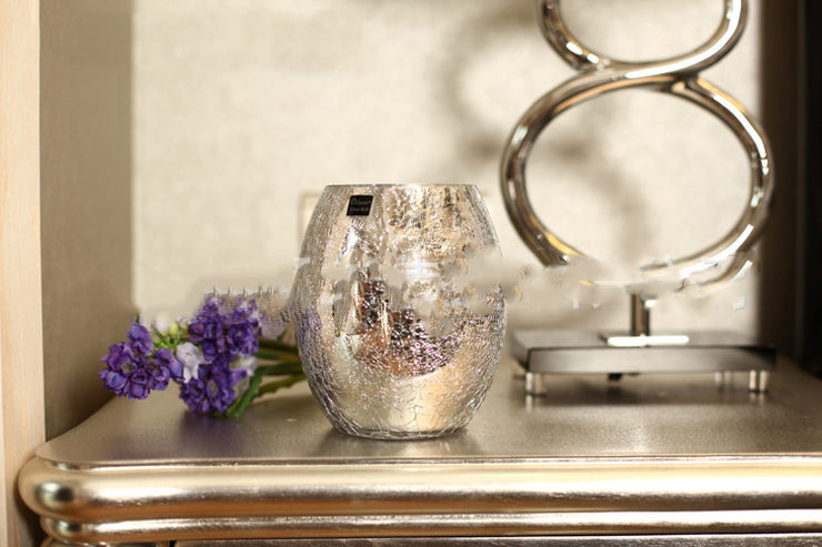 Electroplated Silver Glass Vase Flower AT home decorations