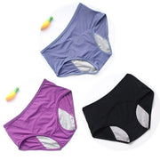 Leak-Proof Women's Panties AT Fashion store