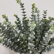 Simulation Green Plants Ins Nordic Style Decoration AT home decorations